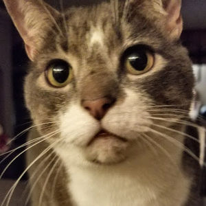 Meet your Posher, Amber